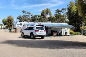 Ardrossan Caravan Park - Mackay Tourism