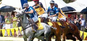 Land Rover Polo in the City Brisbane - Mackay Tourism