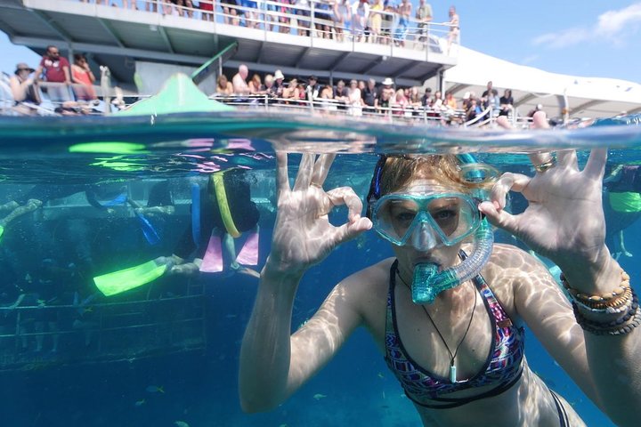 Great Barrier Reef Day Cruise from Cairns Including Snorkeling and Marine Biologist Presentation - Mackay Tourism
